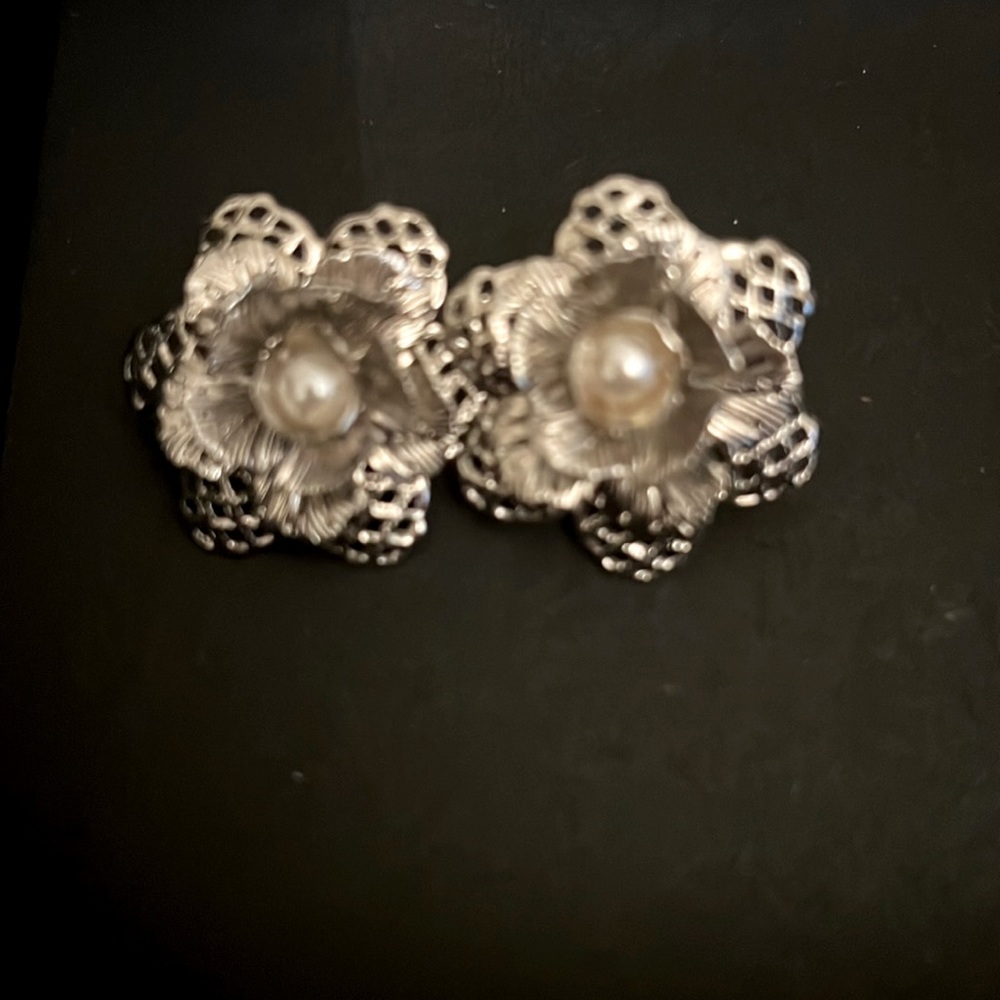 Earrings never used.